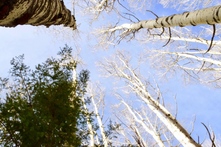 Road trip to New&nbsp;Mexico