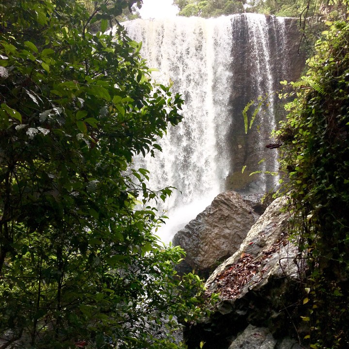 Waterfall Circuit | FNQ,&nbsp;Australia